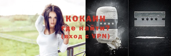 твердый Михайловск