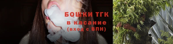 твердый Михайловск