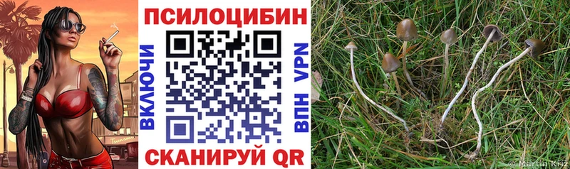 ОМГ ОМГ как зайти  Владимир  даркнет как зайти  Галлюциногенные грибы мухоморы 