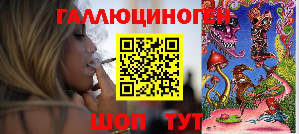 Псилоцибиновые грибы Cubensis Владимир