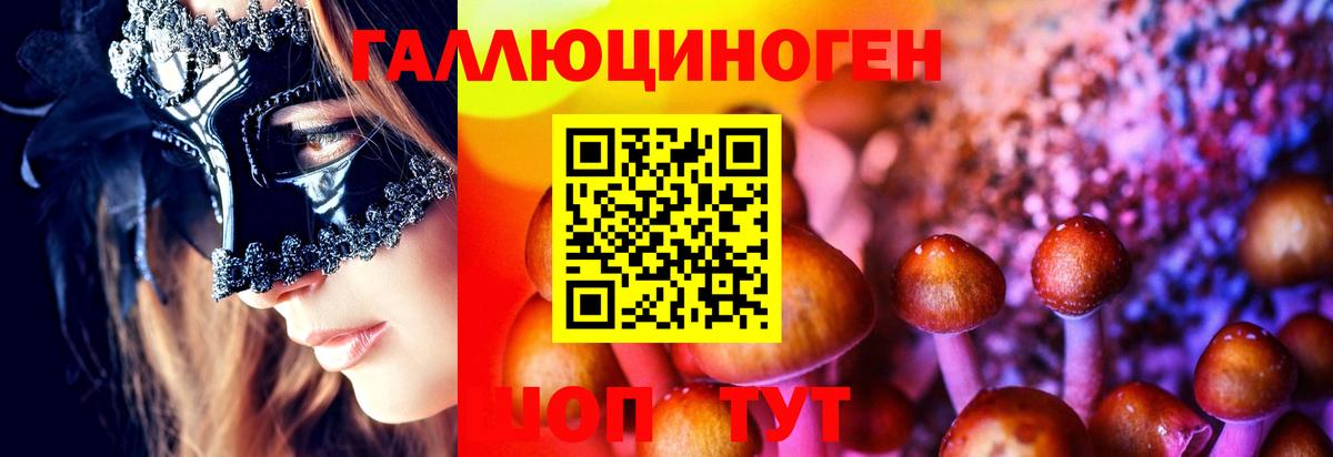 Галлюциногенные грибы мухоморы Владимир